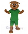 Bulldog mascot costume