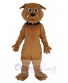 Bulldog mascot costume