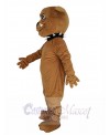 Bulldog mascot costume