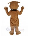 Bulldog mascot costume