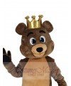 Bear mascot costume