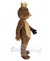 Bear mascot costume
