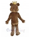 Bear mascot costume