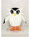 Cute White Owl Mascot Costume Cartoon