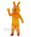 Orange Kangaroo Mascot Costume Cartoon