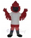 Cardinal mascot costume
