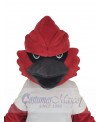 Cardinal mascot costume