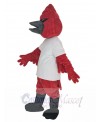 Cardinal mascot costume