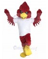 Cardinal mascot costume