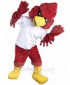 Cardinal mascot costume