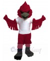 Cardinal mascot costume