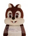 Chipmunk mascot costume