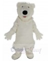 Polar Bear mascot costume
