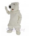 Polar Bear mascot costume