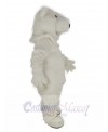 Polar Bear mascot costume
