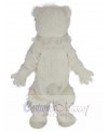 Polar Bear mascot costume