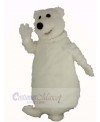 Giant Fat Polar Bear Mascot Costume