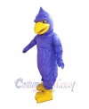 Hawk mascot costume