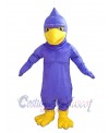Hawk mascot costume