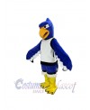 Seahawk mascot costume