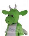 Dragon mascot costume