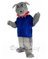 Bulldog mascot costume