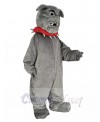 Bulldog mascot costume