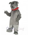Bulldog mascot costume