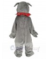Bulldog mascot costume