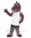 Dragon mascot costume