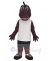 Dragon mascot costume