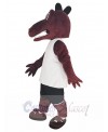 Dragon mascot costume