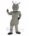 Power Muscles Gray Horse Mascot Costume