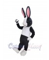Easter Bunny Rabbit mascot costume