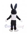 Easter Bunny Rabbit mascot costume