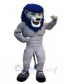 Lion mascot costume
