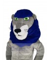 Lion mascot costume
