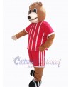 Bear mascot costume