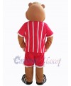 Bear mascot costume