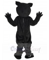 Panther mascot costume