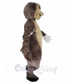 Meerkat mascot costume