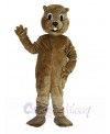 Brown Groundhog Mascot Costume Animal