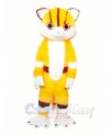 Tiger Mascot costumes 