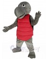 Sea Turtle mascot costume