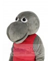 Sea Turtle mascot costume