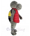 Sea Turtle mascot costume