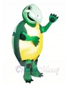 High Quality Turtle Mascot Costumes 