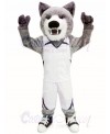 Cody Coyote Mascot Costumes 