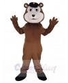 Bear mascot costume