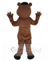 Bear mascot costume